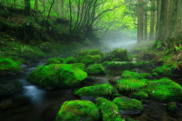 夏の元滝伏流水