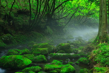 夏の元滝伏流水