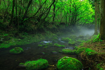 夏の元滝伏流水
