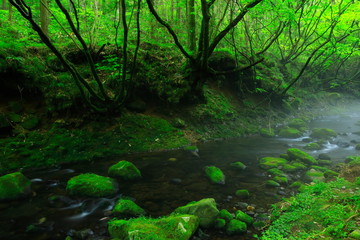 夏の元滝伏流水