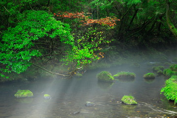 夏の元滝伏流水