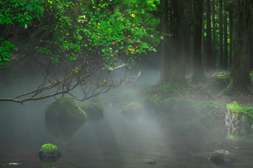 夏の元滝伏流水