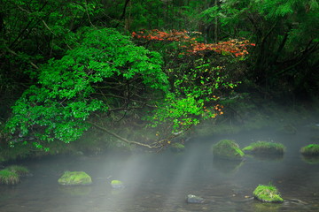 夏の元滝伏流水