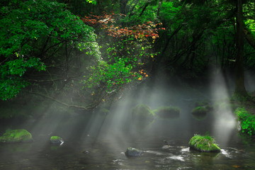 夏の元滝伏流水