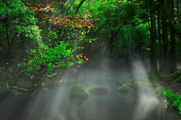 夏の元滝伏流水
