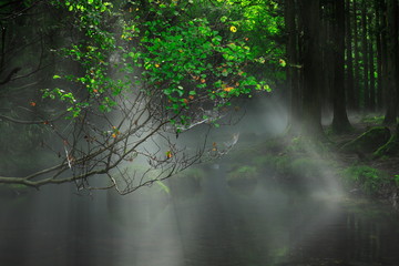 夏の元滝伏流水