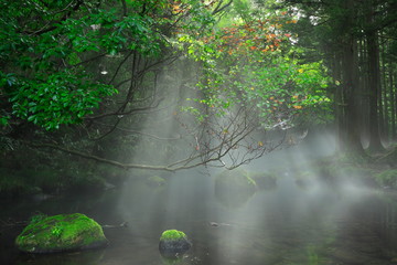 夏の元滝伏流水