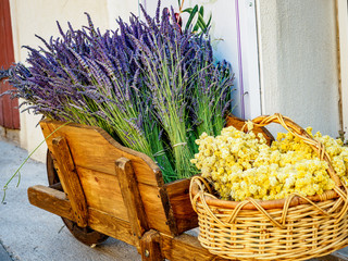 Cart full of lavender bouquets and a basked to Immortal on sidewalk