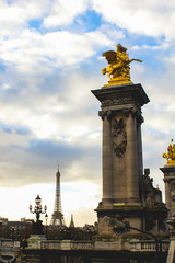 Fototapeta na wymiar Bridge Alexander III in Paris, France
