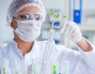 Female scientist researcher conducting an experiment in a labora