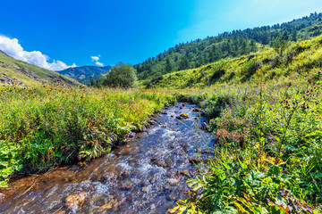 River Chobe. Chemal, Gorny Altai, Siberia, Russia