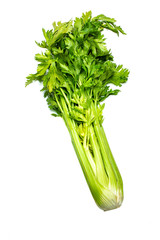 Freshy natural celery isolated on white background