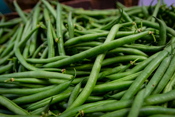 Harvested pile of healthy fresh green beans