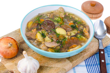 Delicious seasonal wild mushroom soup. Studio Photo