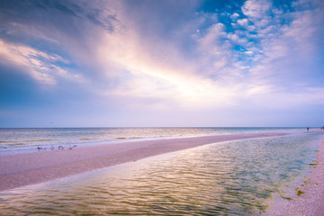 Morning Show At Sanibel Island