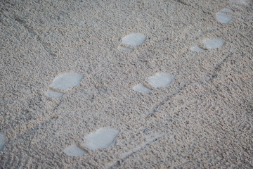 Footprint on sand beach