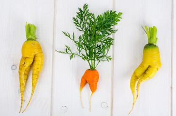 Ugly shaped vegetables, food. Deformed  fresh organic carrots. Misshapen produce.