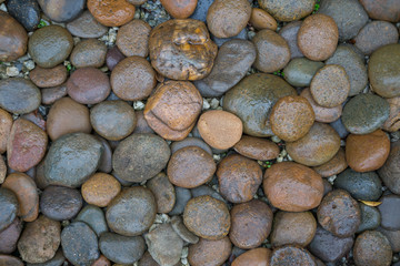 Wet rock river texture