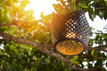 Wood lamp on tree with bokeh