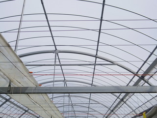  Greenhouse ceiling