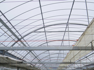  Greenhouse ceiling