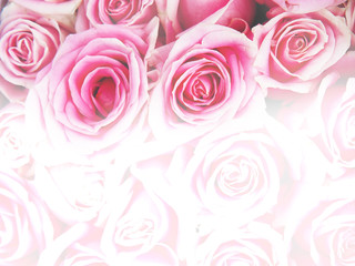 Fototapeta na wymiar Pink rose flowers bouquet for valentines or wedding day background.