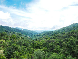 Obraz premium Green treetops on the mountain against blue sky. Natural rainforest background.