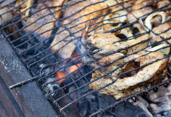 charcoals in the grill, the fish is fried at the stake