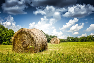 Hay on the field with blue sky and clouds