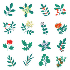 Decorative plants set