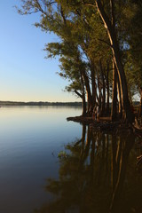 Atardecer de pesca en una laguna de aguas tranquilas