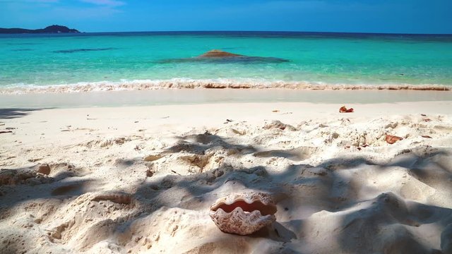 A beautiful 4K UHD Cinemagraph of a tropic seaside beach at Perhentian Island, Malaysia with a big sea shell lying in the sand.