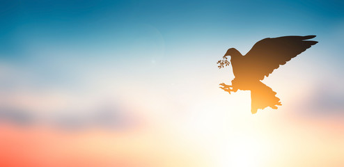 International Day of Peace concept: Dove carrying leaf branch on sunset background