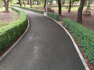 close up walkway in nature garden
