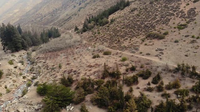 Flying at high speed over treetops on a valley in Cordillera de los Andes-4K