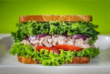 Tuna sandwich on white plate. Blurred green background. Tuna, lettuce, onion, tomato, bread. Closeup.