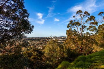Sky Tower view from One Tree Hill at Auckland, New Zealand
