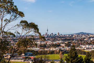 Obraz premium Sky Tower view from One Tree Hill at Auckland, New Zealand
