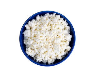 Homemade cottage cheese, dairy products. Studio Photo