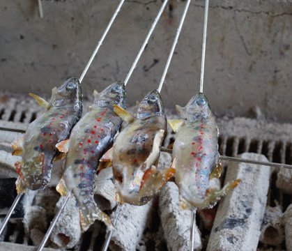 アマゴの塩焼き の画像 43 件の Stock 写真 ベクターおよびビデオ Adobe Stock