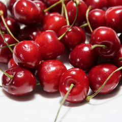 red cherry on white background 