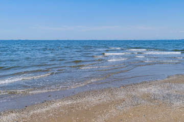 幕張海浜公園 幕張の浜と海