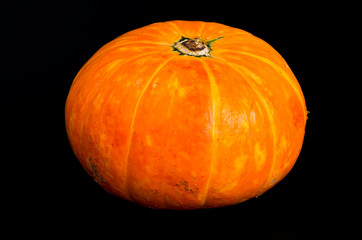 Decorative little orange pumpkin on black background.