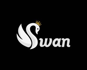 Luxury swan logo template design vector, emblem creative concept