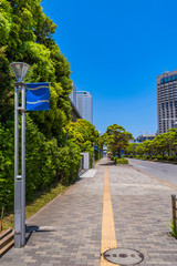 Fototapeta premium 幕張新都心の風景