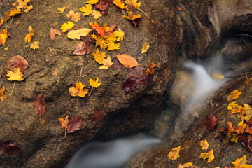 Beautiful autumn landscape with a waterfall in the autumn forest.