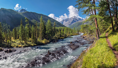 Fototapeta na wymiar The river flows through a picturesque valley in the Altai Mountains, summer sunny landscape
