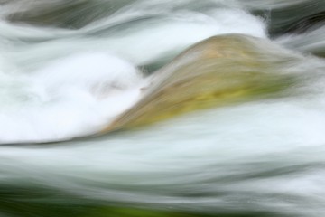 Fototapeta na wymiar smooth, silky water rushes over a rock midstream of a Sierra Nevada , California , river