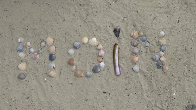 ostfriesisches "Moin" aus Muscheln gelegt