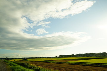 Obraz premium 大きな雲と田園
